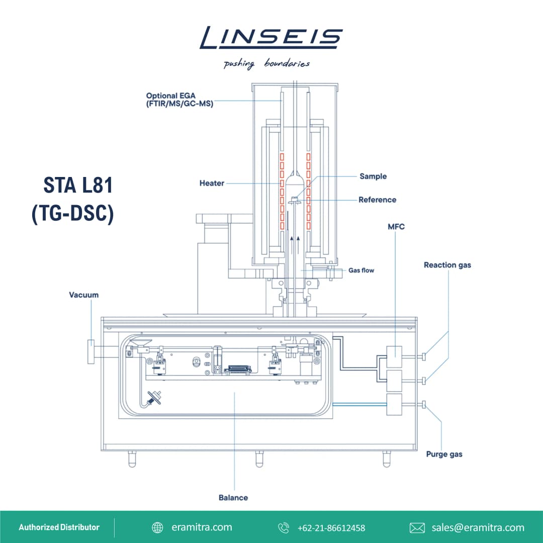 STA L81 - TG-DSC