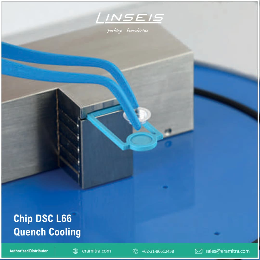 Chip DSC - L66 Basic