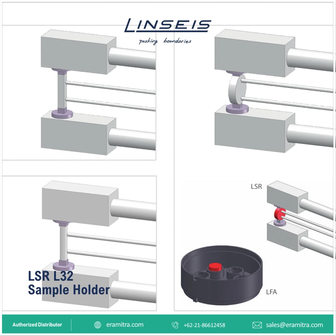 LSR3 - L31