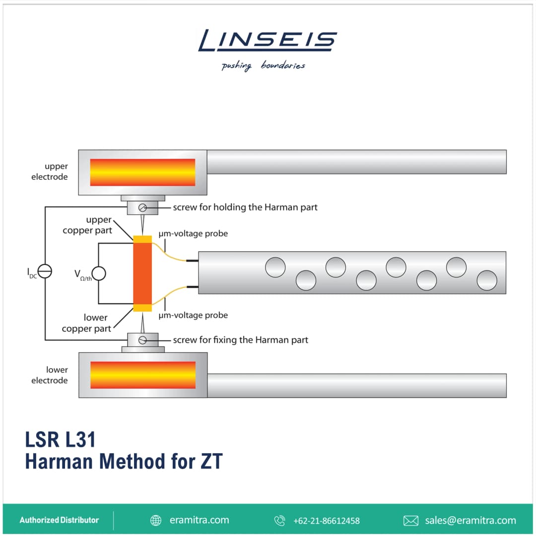 LSR3 - L31